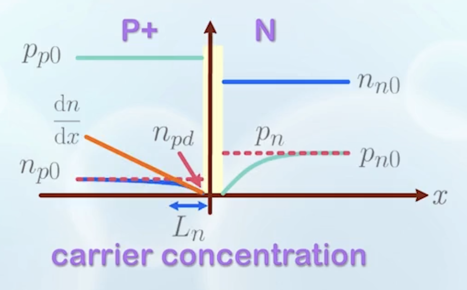 carrier concentration under reverse bias