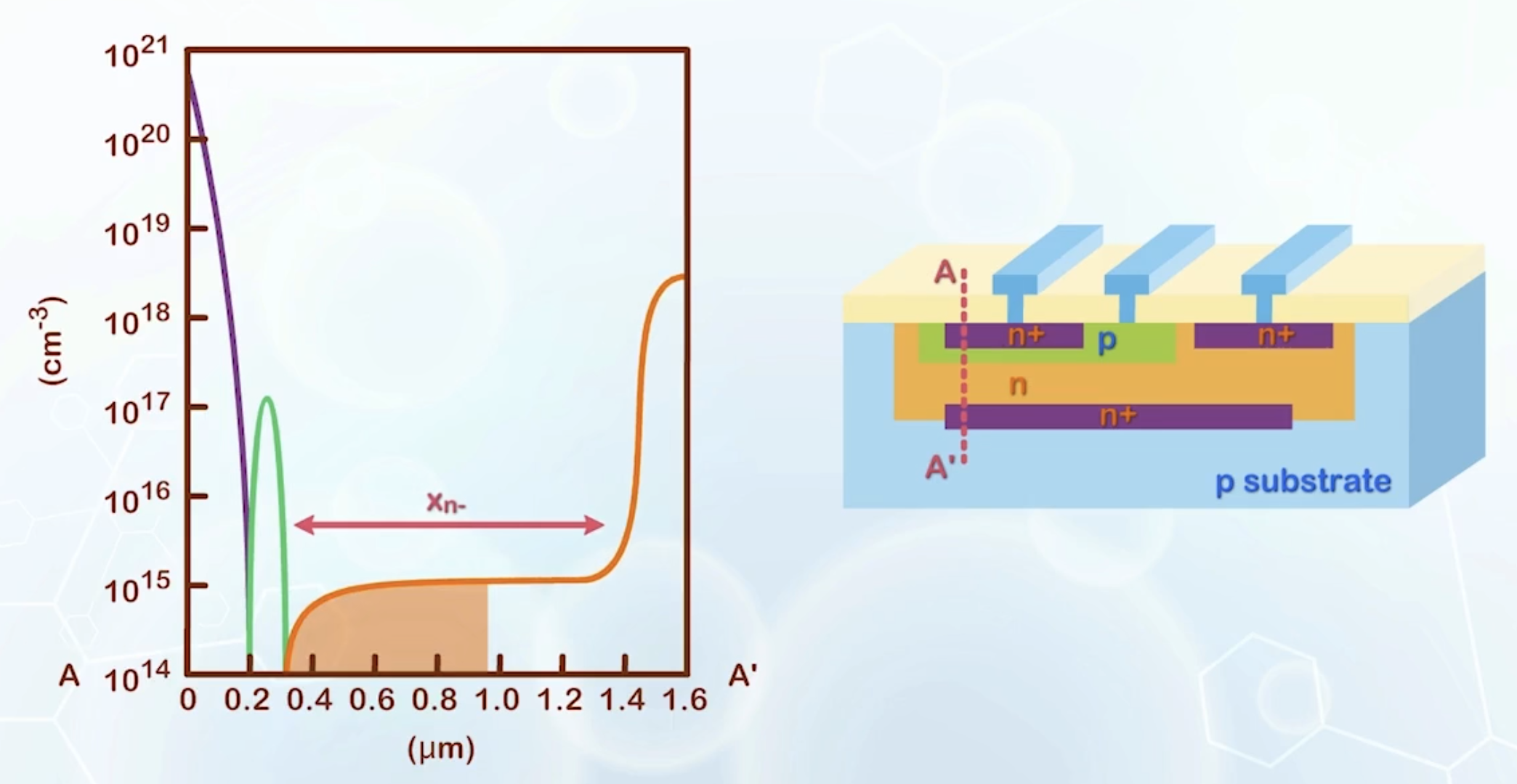 The doping concentration along the vertical cutline